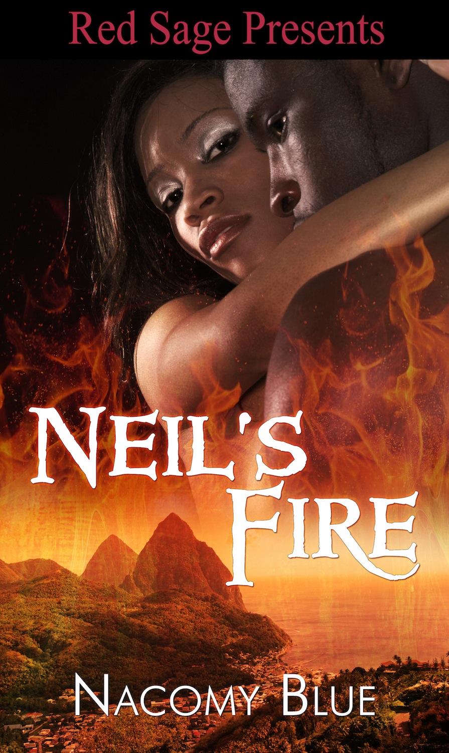 Title details for Neil's Fire by Nacomy Blue - Available